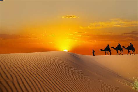 Balade en Chameau dans le Désert de Merzouga